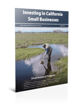 Thumbnail image of Summer Small Business Newsletter